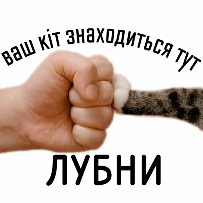 ЛУБЕНСЬКИЙ РАЙОН