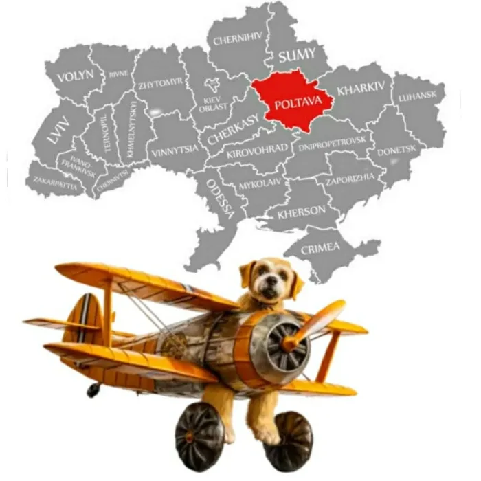 ПОСЛУГИ ЗООКУР'ЄРА ПО ОБЛАСТI